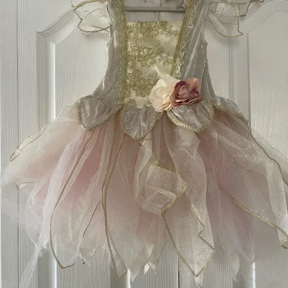 princess dress age 4 Disney princess dress age 4 to 8